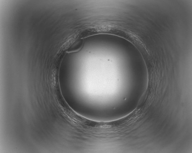 X0000054370501200508191850