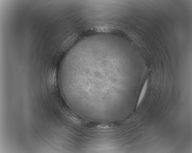 X0000054370502200508191850