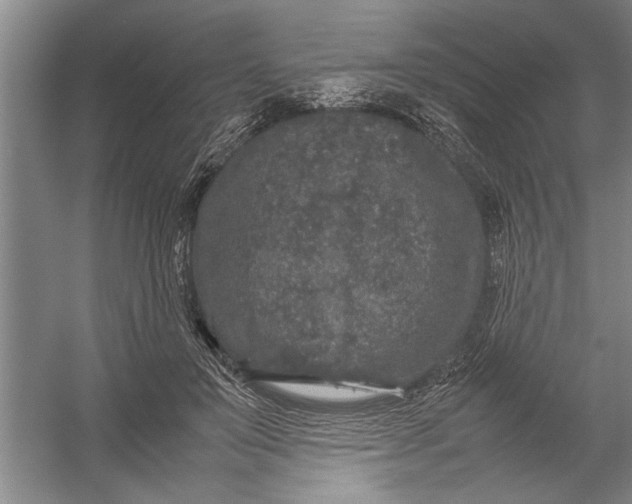 X0000054370503200508191850