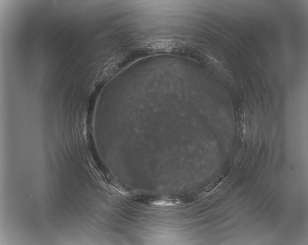 X0000054370504200508191850