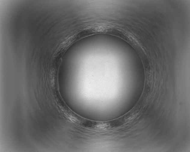 X0000054370505200508191850