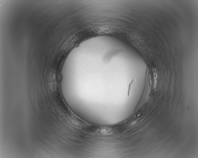 X0000054370506200508191850