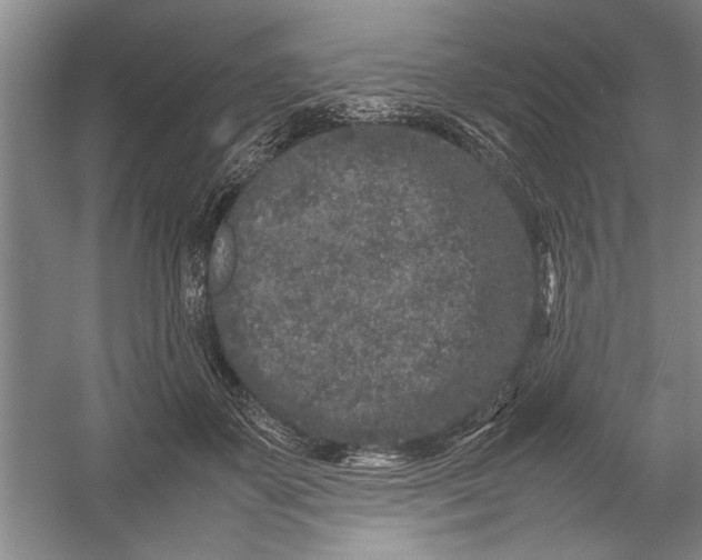 X0000054370507200508191850