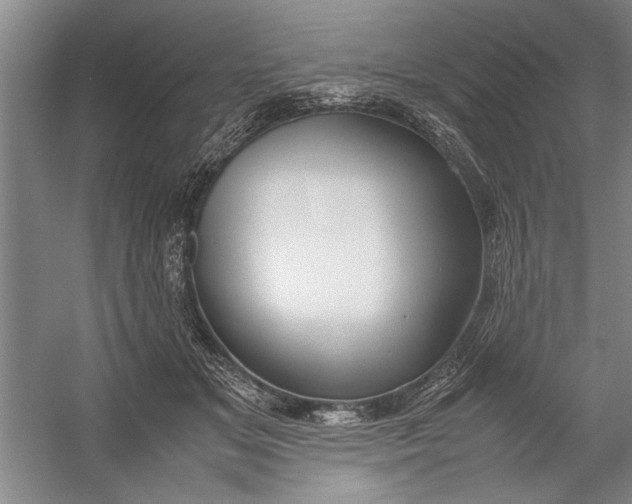 X0000054370509200508191850