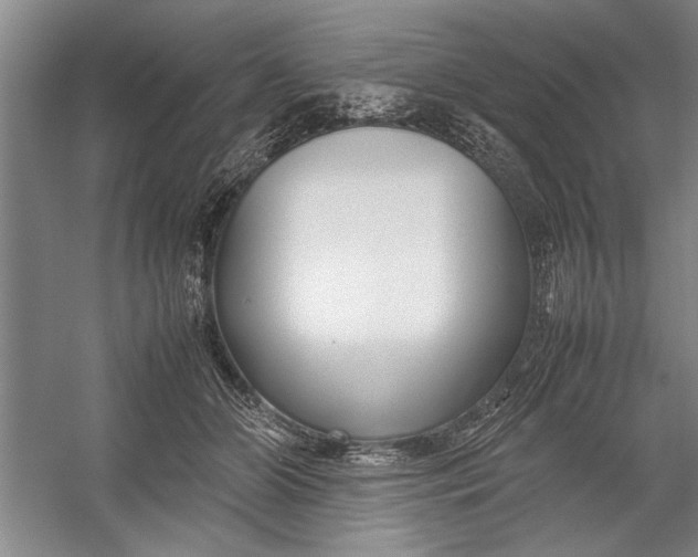 X0000054370510200508191850