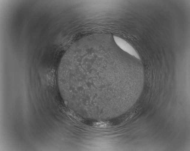 X0000054370511200508191850