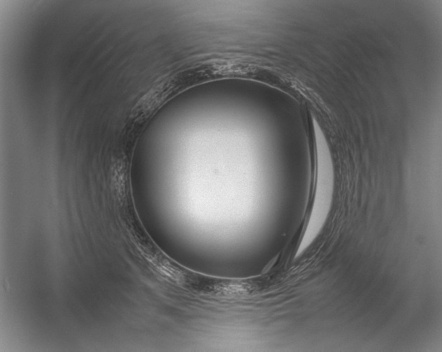 X0000054370513200508191850