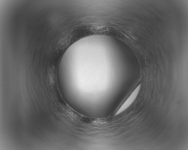 X0000054370515200508191850