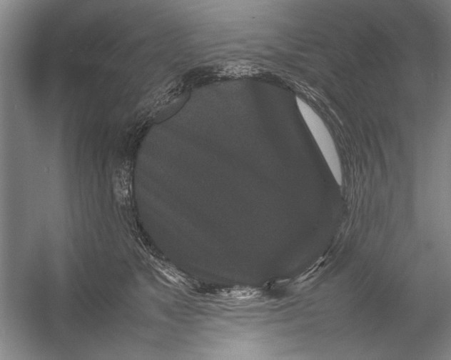 X0000054370517200508191850