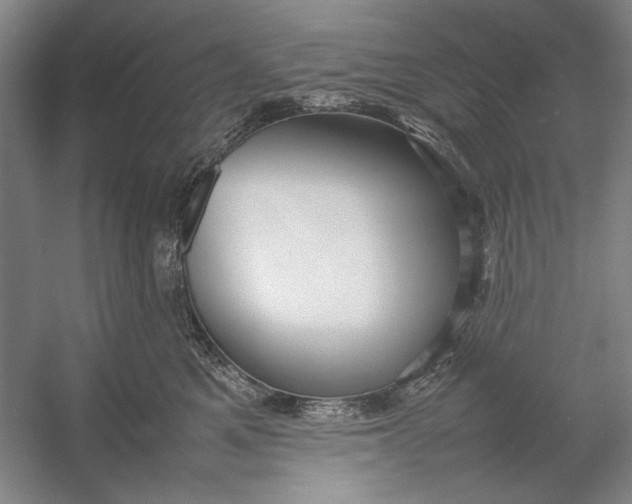 X0000054370521200508191850