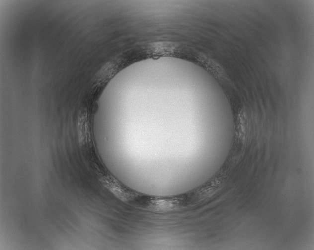 X0000054370522200508191850