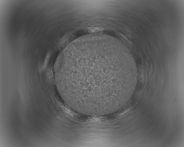 X0000054370523200508191850