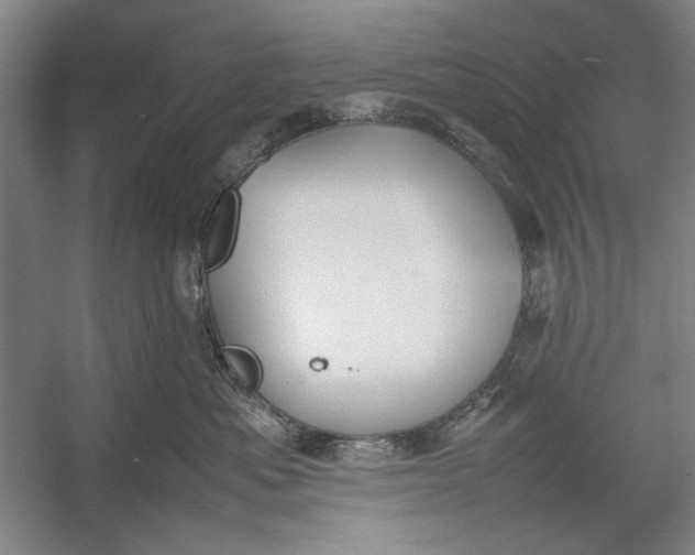 X0000054370525200508191850