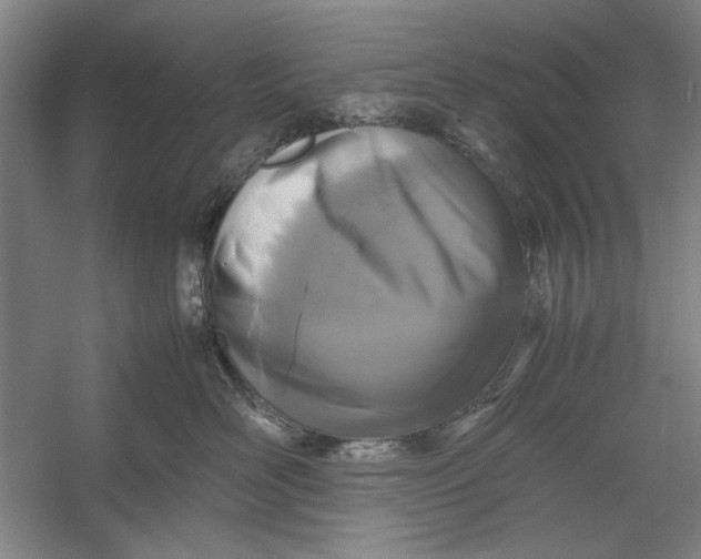 X0000054370526200508191849