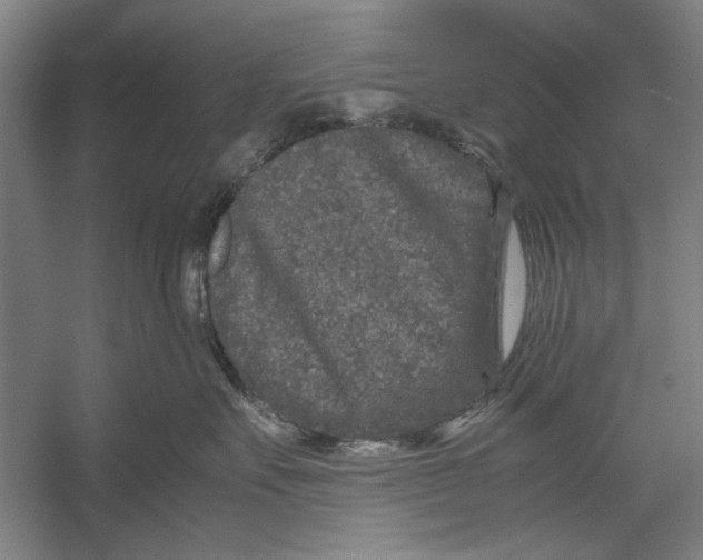 X0000054370527200508191849