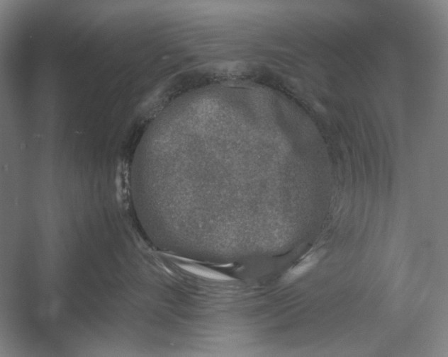 X0000054370528200508191849