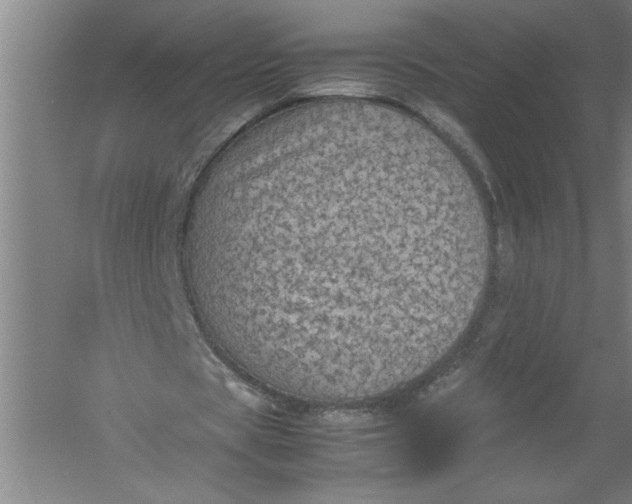 X0000054370529200508191849