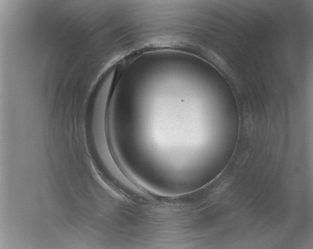 X0000054370530200508191849