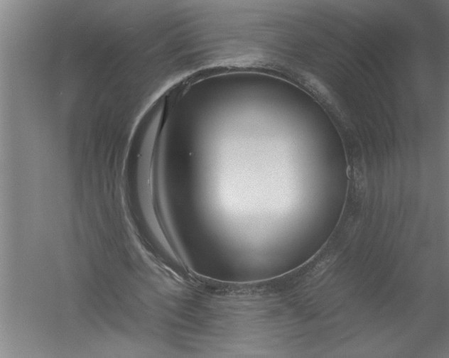 X0000054370532200508191849