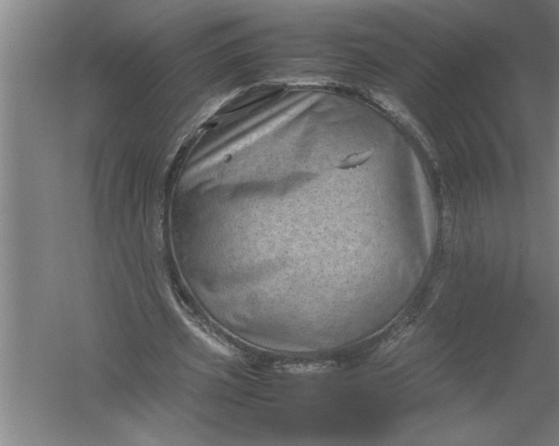 X0000054370533200508191849