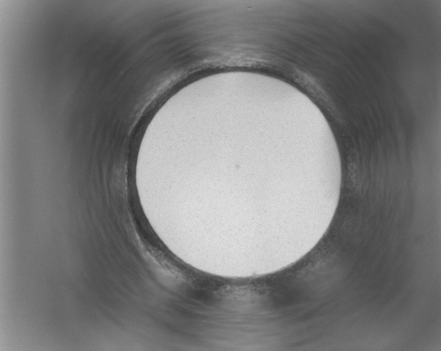 X0000054370534200508191849