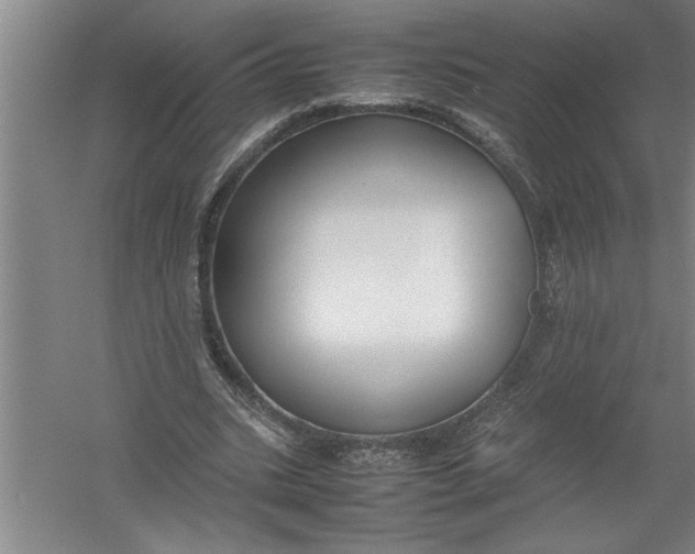 X0000054370535200508191849