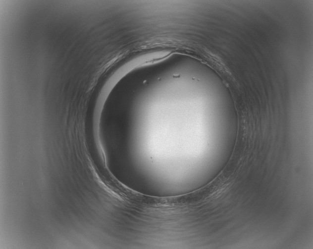 X0000054370538200508191849