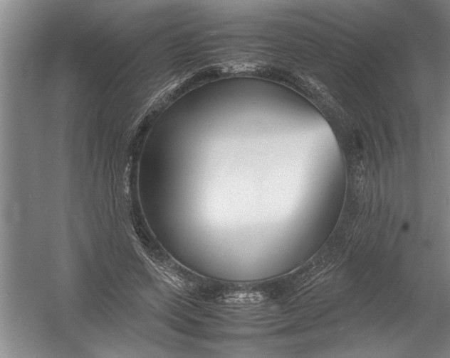 X0000054370543200508191849