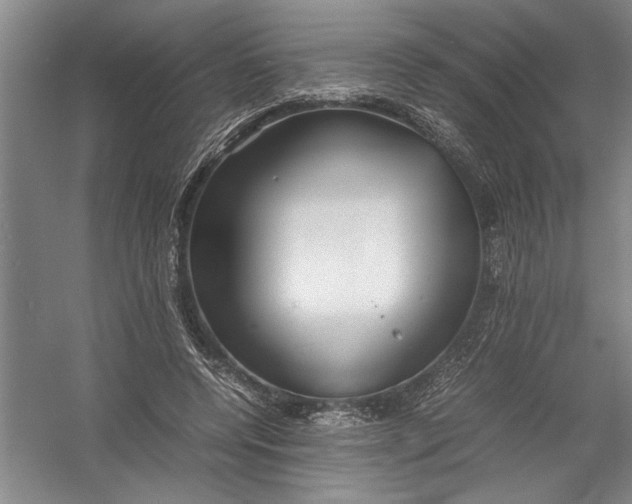 X0000054370544200508191849