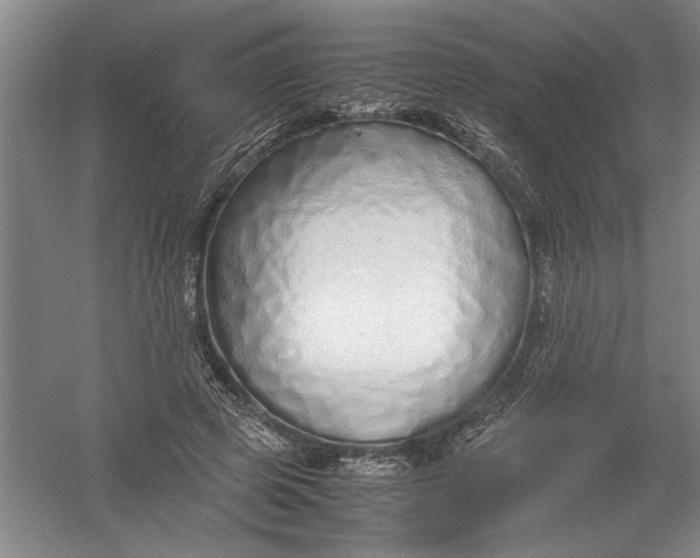 X0000054370545200508191849