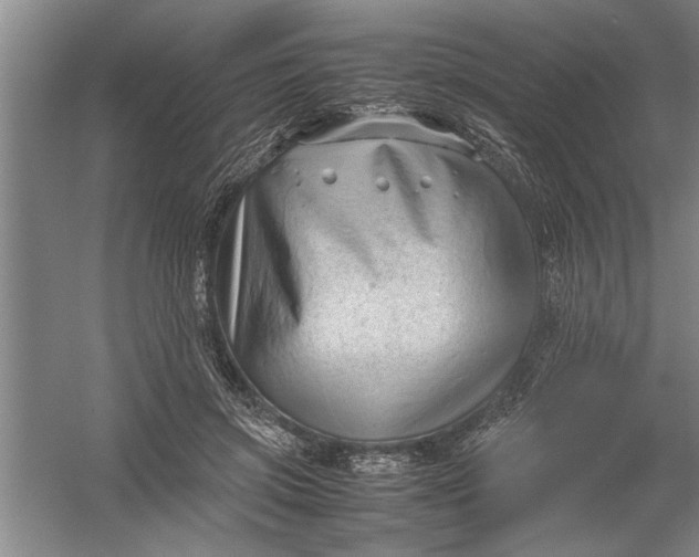 X0000054370549200508191849