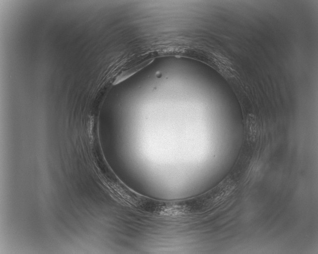 X0000054370550200508191849