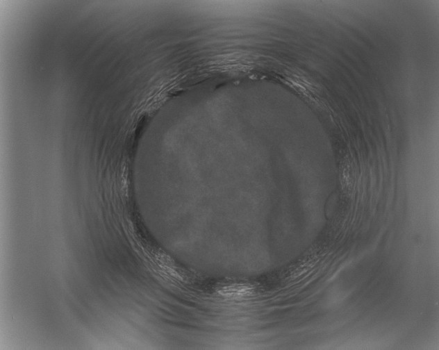 X0000054370551200508191849