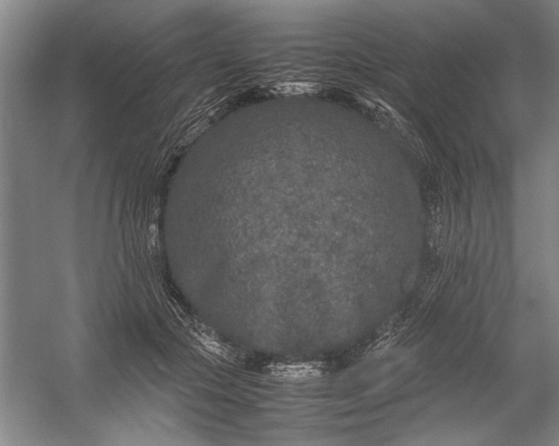 X0000054370553200508191849