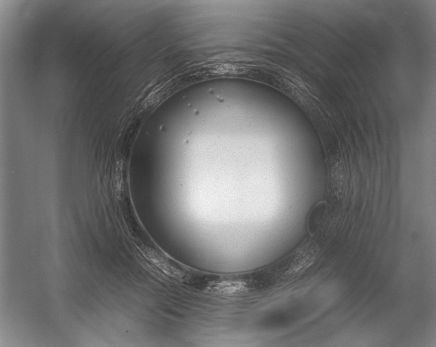 X0000054370554200508191849