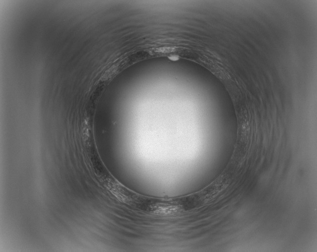 X0000054370555200508191849