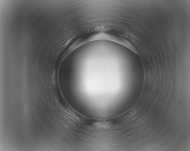 X0000054370556200508191849