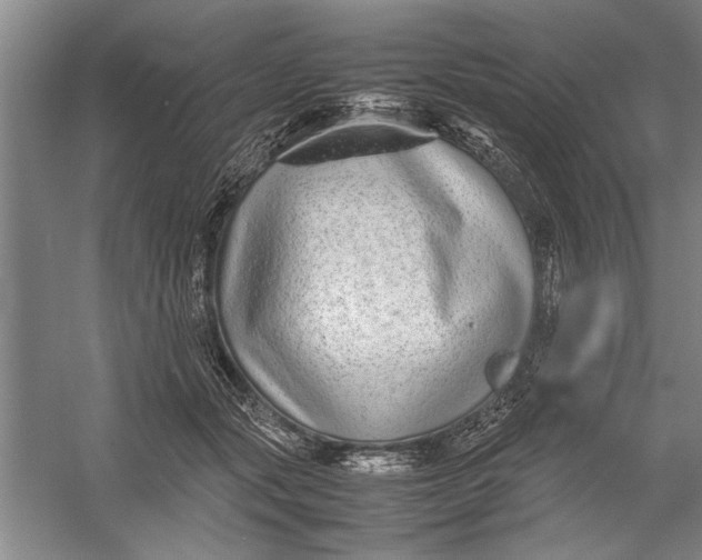 X0000054370557200508191849