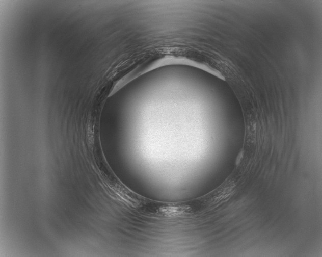 X0000054370558200508191849