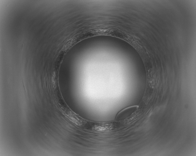 X0000054370563200508191849