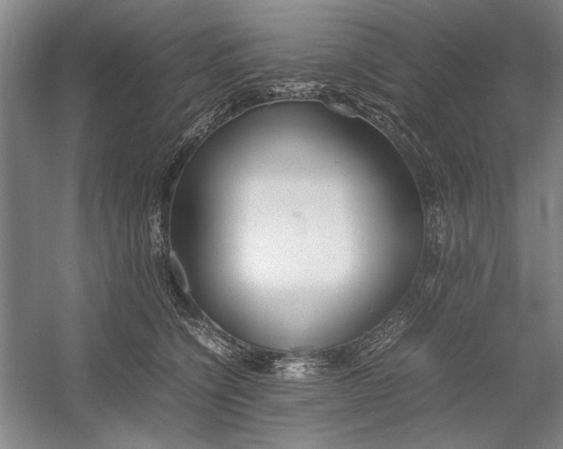 X0000054370564200508191849