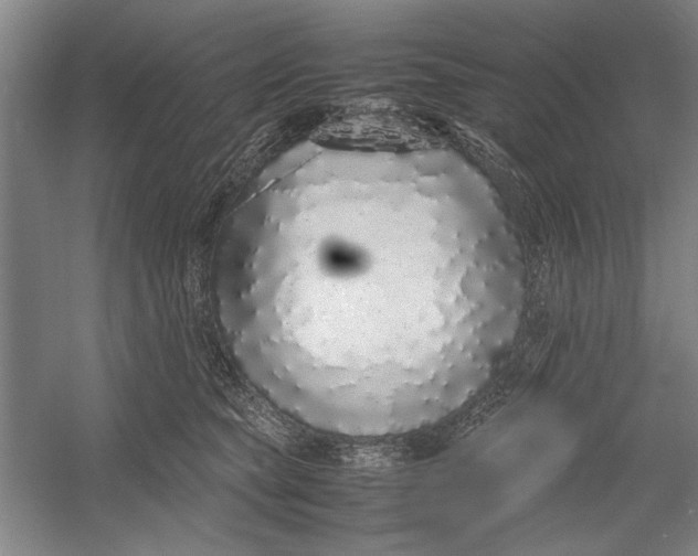 X0000054370565200508191849