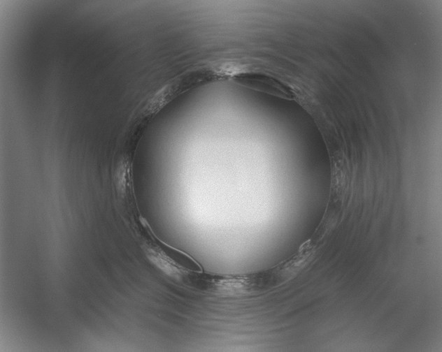 X0000054370574200508191849