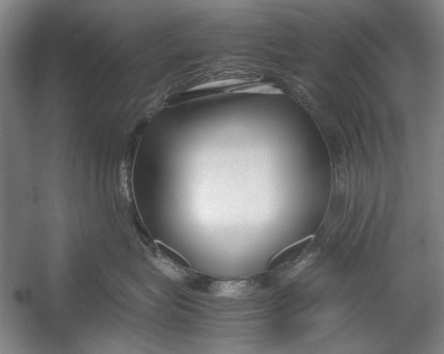 X0000054370575200508191849