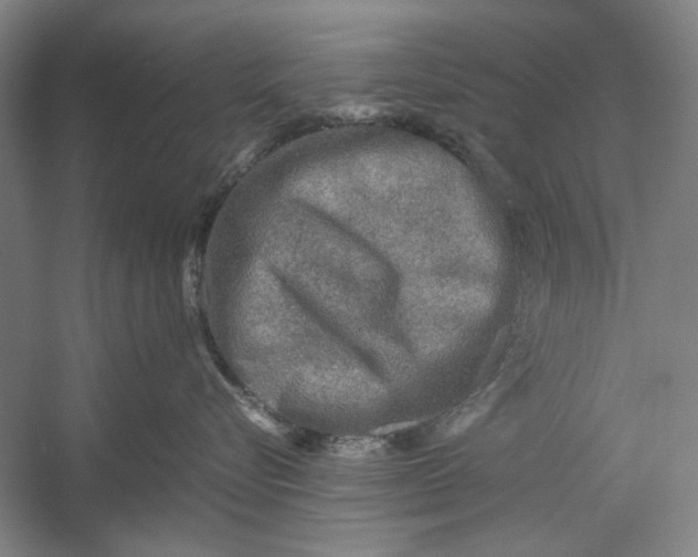 X0000054370576200508191849