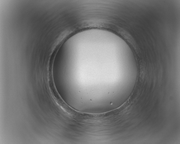 X0000054370578200508191849