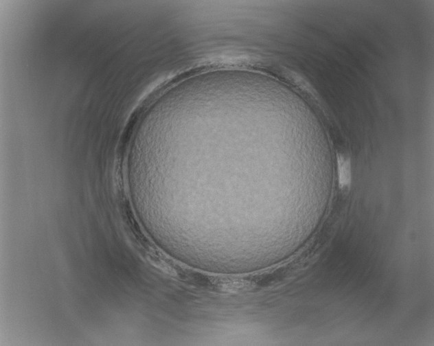 X0000054370579200508191849