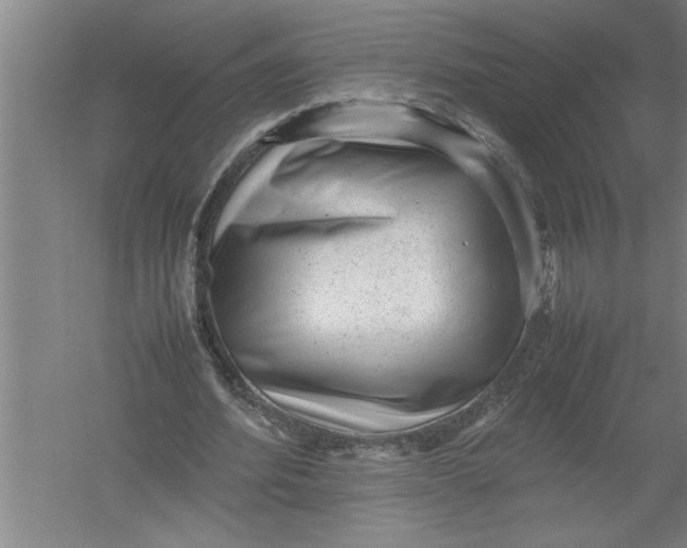 X0000054370580200508191849