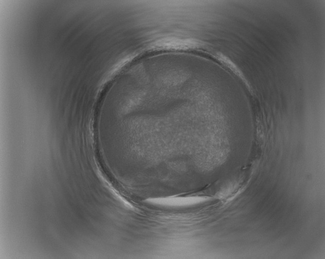 X0000054370581200508191849