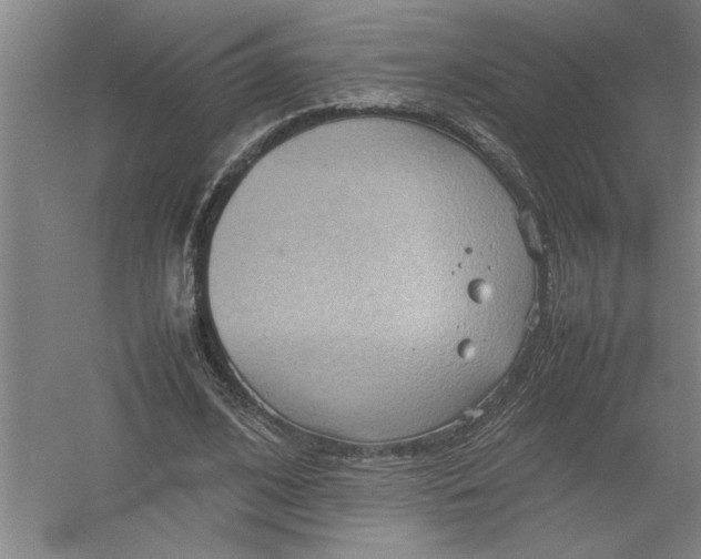 X0000054370584200508191849